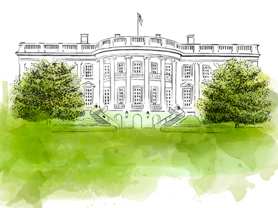Whitehouse illustration lines watercolor