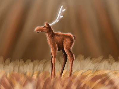 Moose illustration