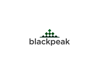 Blackpeak Logo Design branding identity logo