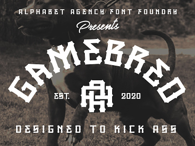 GAMEBRED FONT 2020 alphabet agency font gamebred jon swinn serif street