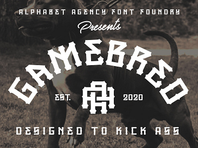 GAMEBRED FONT