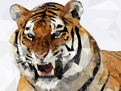 Tiger (low poly) art design drawing dribbble graphic illustration illustrator low poly low poly art nature polygon sketch