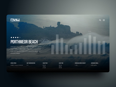 Surf Report UI