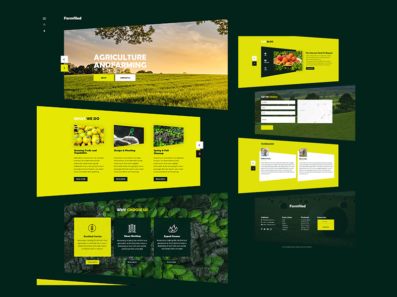 Framing Website Template by Hemant Kumar Lodhi on Dribbble