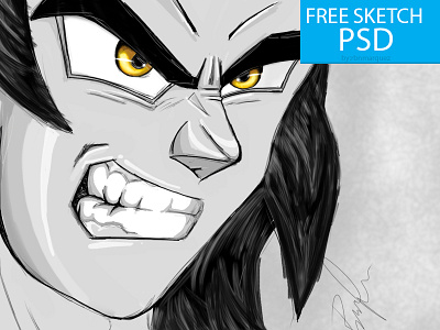 Goku Super Sayayin Sketch Free PSD ball dbz dragon goku psd sayayin sketch