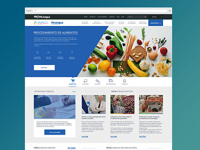 Investments Website flat food icons investments landing news timeline website