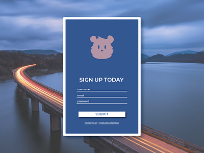 City Bear - SignUp Form daily 100 design ui