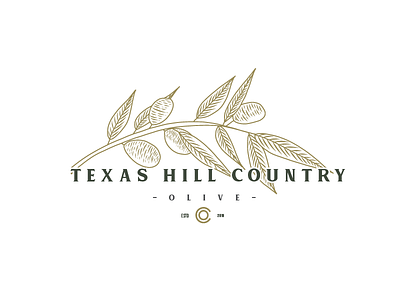 Logo Design Concept for Texas Hill Country Olive american craft font hand drawn handcrafted handdrawn logo old retro type typeface vintage