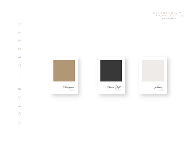 Color Palette Design logo modern