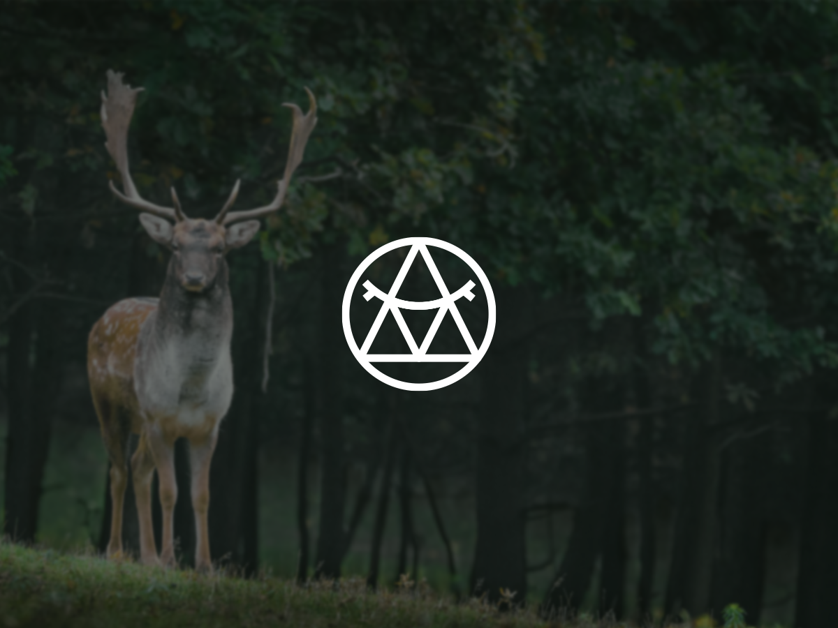 Logo for Wild Fashion by Shamjith KS on Dribbble