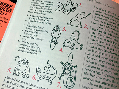 Exotic Pet Procedures exotic pets goldfish hamster icons line drawing lizard monkey parrot rabbit