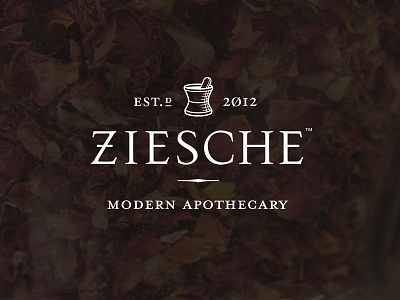 Ziesche: Logo branding graphic design identity logo