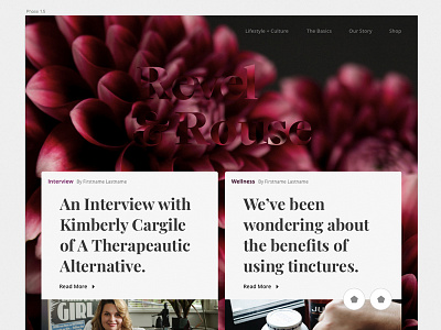 Revel and Rouse: Website branding cannabis case study ui ux web web design website