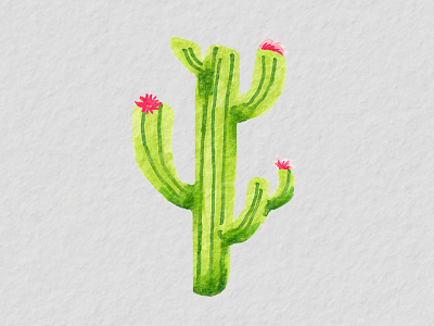 One Cactus cactus design illustration