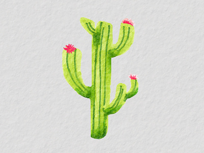 One Cactus