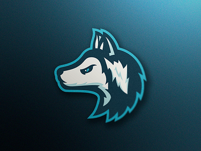 Husky Mascot Logo blue colors dog esports logo husky illustrator logo mascot mascot logo photoshop wolf