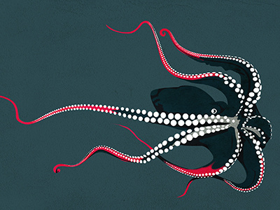 octopus animals illustration octopus poulpe sea vector water