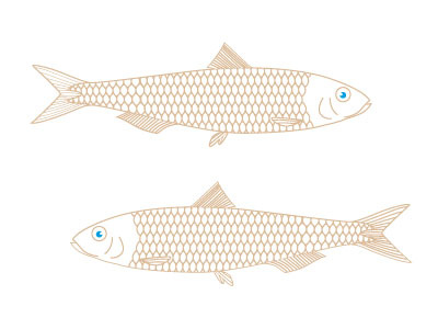Fish animals illustration sea vector