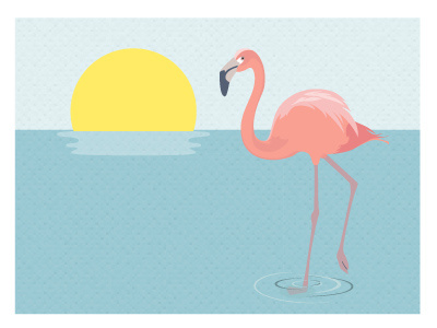 Summer flamingo animal flamingo illustration sea sun vector