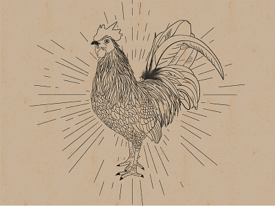 Vintage Rooster