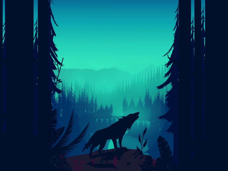 Wolf in the wild forest
