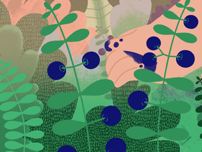 Topp 3 - Blueberries animation blueberry character illustration summer