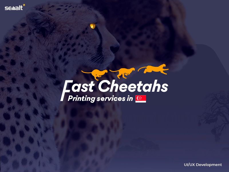 Redesign Fast Cheetahs interaction ui ux web web design web development xd