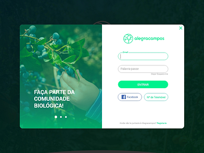 ALEGRACAMPOS | Log In alegracampos branding derpauloferreira design e commerce app graphicdesign login login box login design login form login page minimal ui user experience user interface ux designer ux ui design webdesign weblogin website