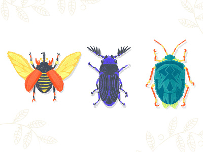 Beetles animals beetle beetles bug bugs illustration nature nature illustration