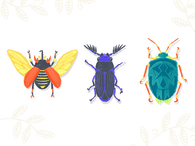 Beetles