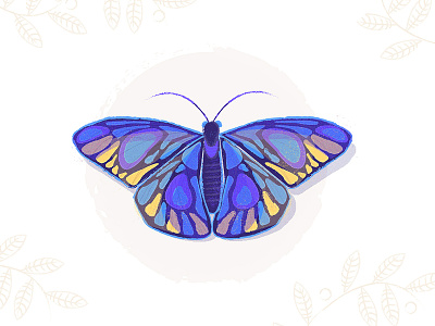 Butterfly butterfly illustration insects nature