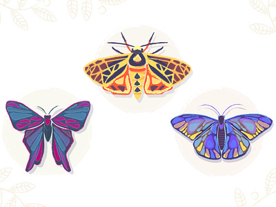 Butterflies butterflies butterfly illustration insects nature