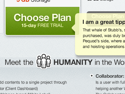 Plans & Pricing cms pricing plans cloud app beta comp web design fireworks