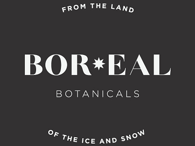 Boreal Botanicals logo branding cosmetic branding logo product