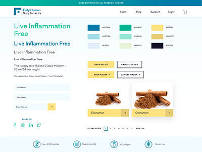 Fully Human Supplements Design System branding design design system interactive typography ui web website design