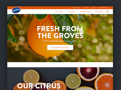 Website Design: Sunkist citrus design food and beverage ui ui design web web deisgn website