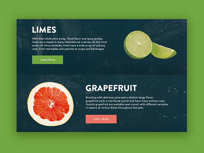 Website Design: Sunkist design food and beverage fruit typography ui ux web web design website