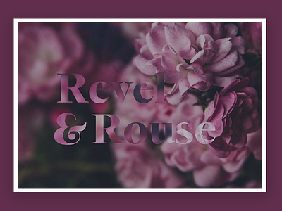 Revel & Rouse Brand brand and identity branding cannabis design food and beverage logo photograhy typography web website