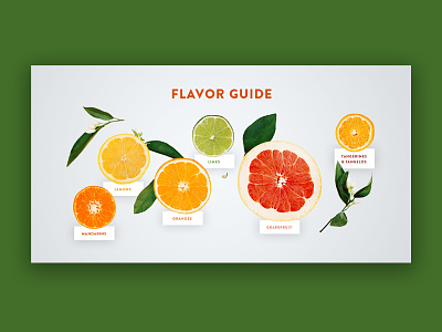 Website Design: Sunkist citrus design ui ui ux design web web design