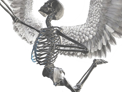Metal Spirits - Skeleton Study 3d adobe fresco illustration skelly by proko