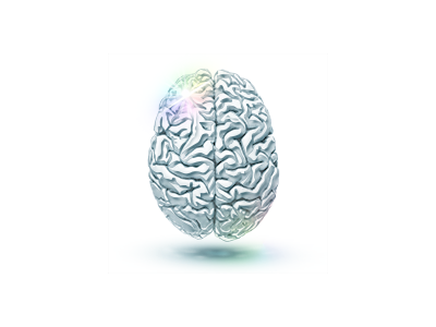 Silicone Brain brain