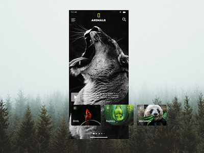 National Geographic Animal Screen App