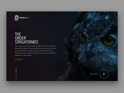 Owl Wisdom Design Exploration black dark design minimalist design orange owl owl logo simple ui website wisdom