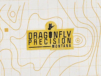 DragonFly Precision - Logo and Branding. branding design graphic logo typography