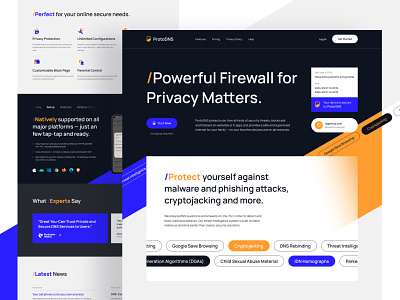 ProtoDNS - Firewall DNS landing page branding design dns firewall internet landing modern omnicreativora page privacy security typography ui ux web webdesign website