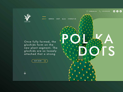 Cactus Website @design design illustration landing ui uiuxdesign ux vector web