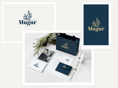 Visual Identity Mugur 2019 branding dailyui illustration logo