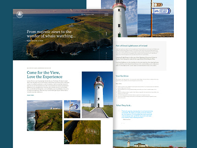 Light House Website design web web design wordpress