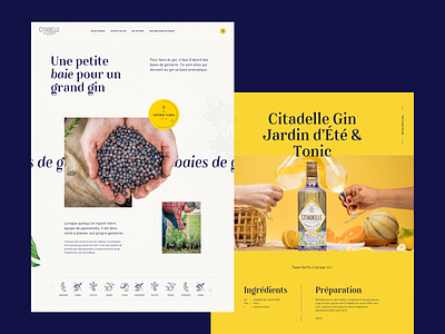 Citadelle Gin - Storytelling pages alcohol animation art direction cocktail craft design elegant gin illustration interaction layout parallax popin scroll smooth storytelling sun ui webdesign website