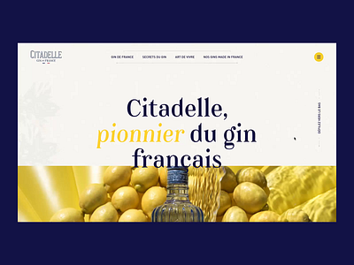 Citadelle Gin - Homepage alcohol art direction blue cocktail craft gin homepage illustration interaction layout leaf paper parallax scroll smooth sun ui webdesign website yellow